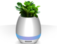 اسپیکر و گلدان موزیکالی Tokqi