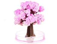 درخت جادویی ساکورا