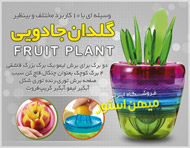 گلدان جادویی Fruits Plant