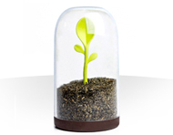 ظرف نگهدارنده چای و قهوه Scoop Jar