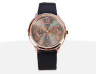 ساعت مچی مردانه پلاتینیوم - Platinum